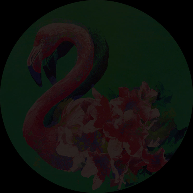Flamingo / TEENAGE RIOT