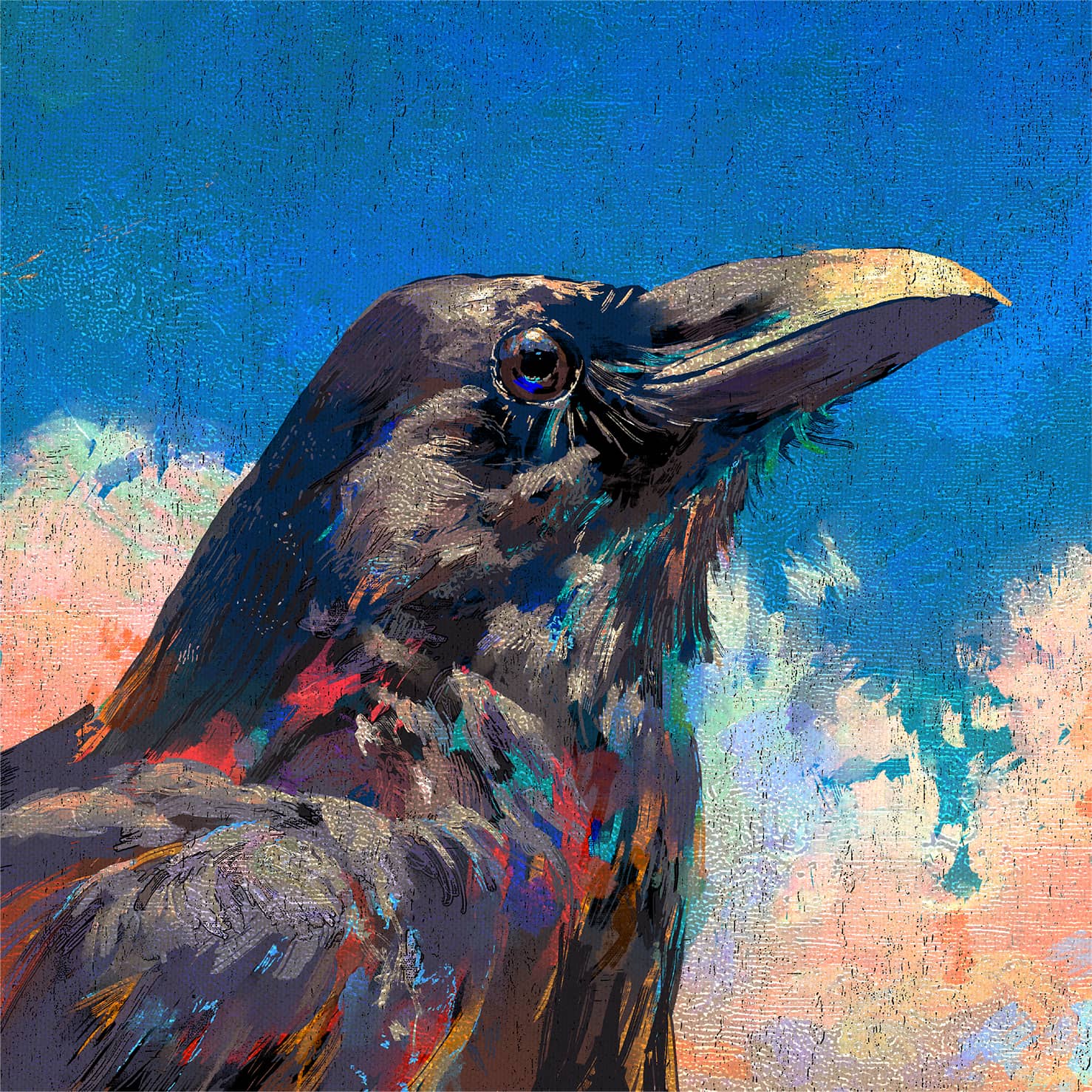 烏 Jacket Illustration