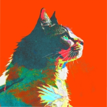 ジョージョア